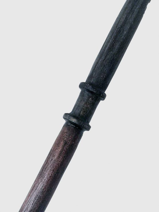 Draco-malfoy-legno-bacchetta