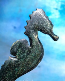 Bacchetta magica Hippocampus Rafinesque