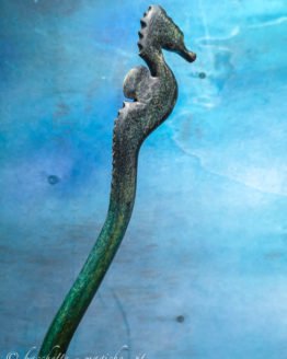 Bacchetta magica Hippocampus Rafinesque Bacchetta magica Hippocampus Rafinesque