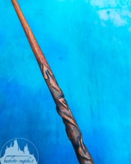 bacchetta di Hermione