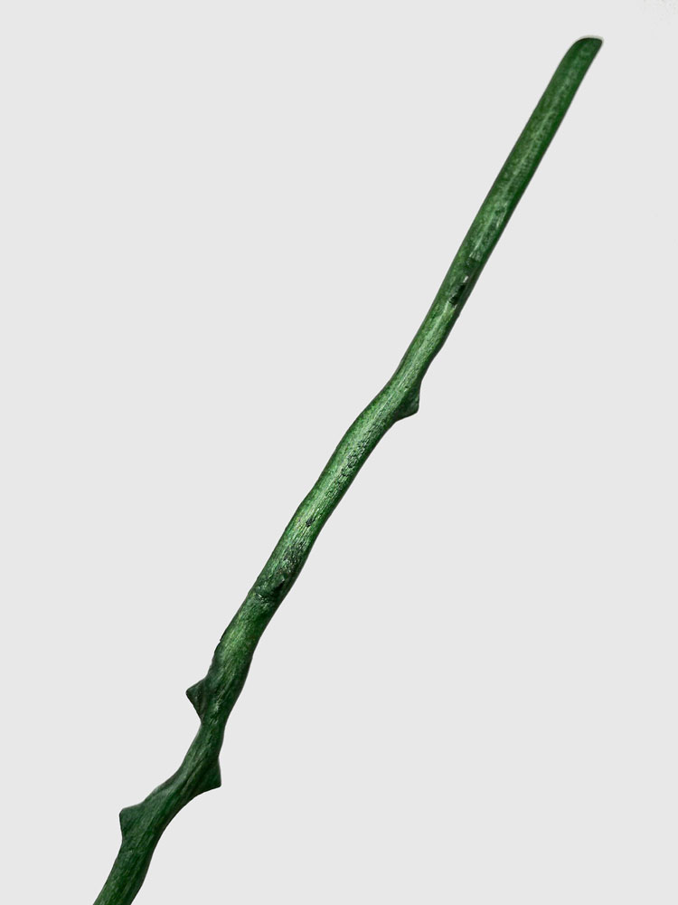 Bacchetta-serpeverde-Rosa-Nera