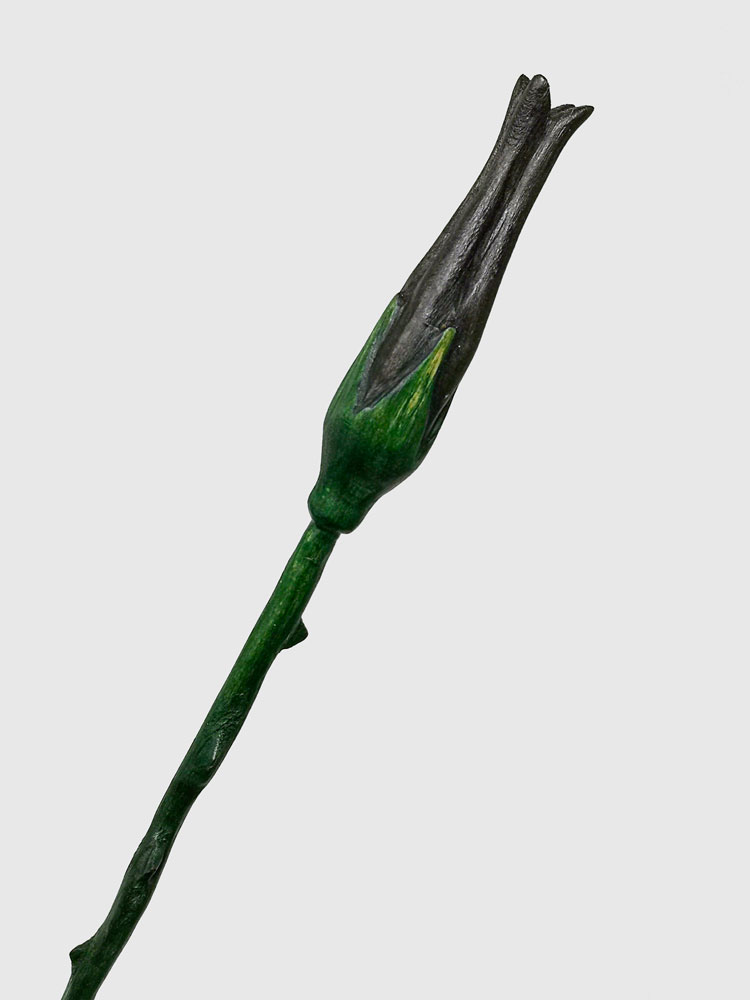 Magic-wand-slytherin-Black-Rose