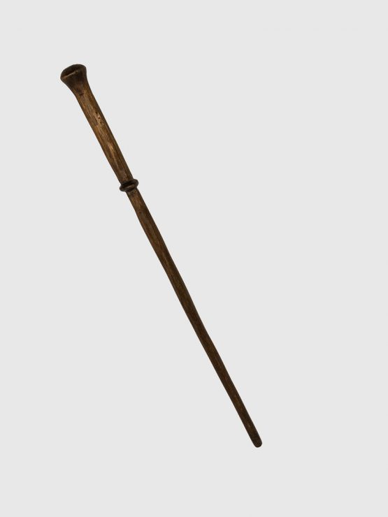 HARRY-POTTER-BACCHETTA-PRIMO-FILM