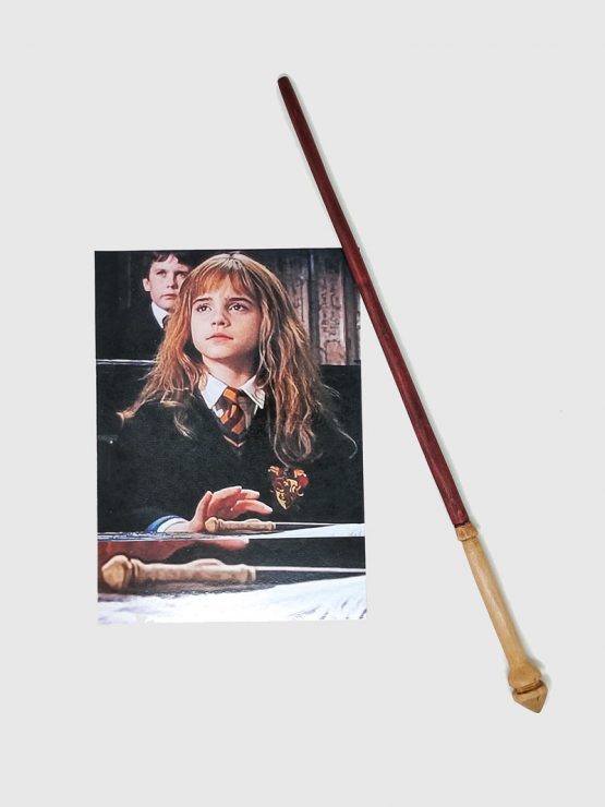 Prima-Bacchetta-Hermione