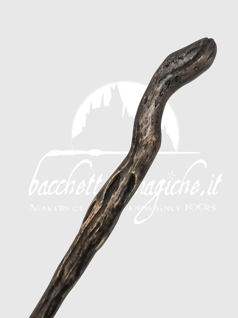 bacchetta-di-ollivander